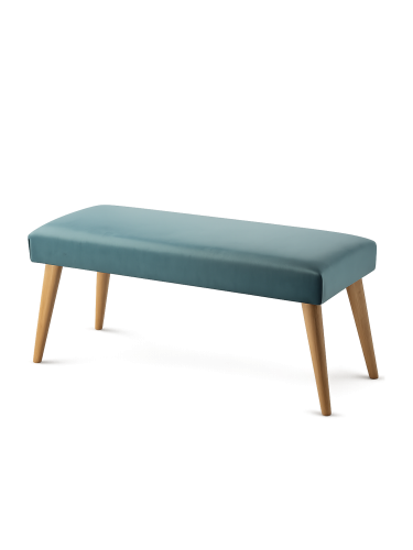 retrovidens mint.png