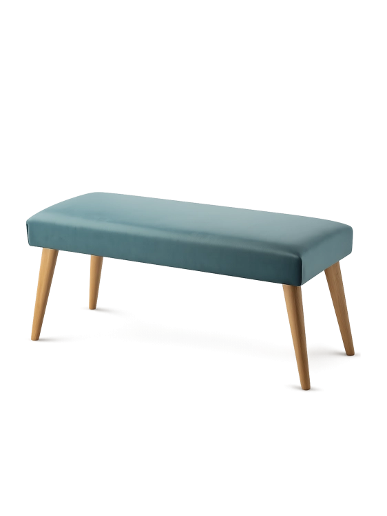 retrovidens mint.png